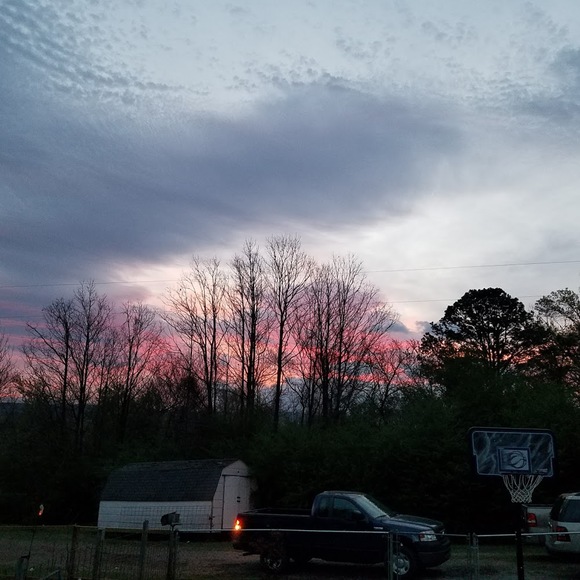 Meet your Posher, Sam - Picture 1 of 1